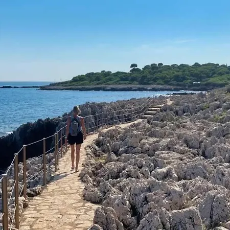 Apartment Cap D'antibes Piscine Et Antibes